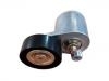 Belt Tensioner:1021030E0100