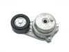 Belt Tensioner:24101353