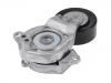 Belt Tensioner:166200Y061